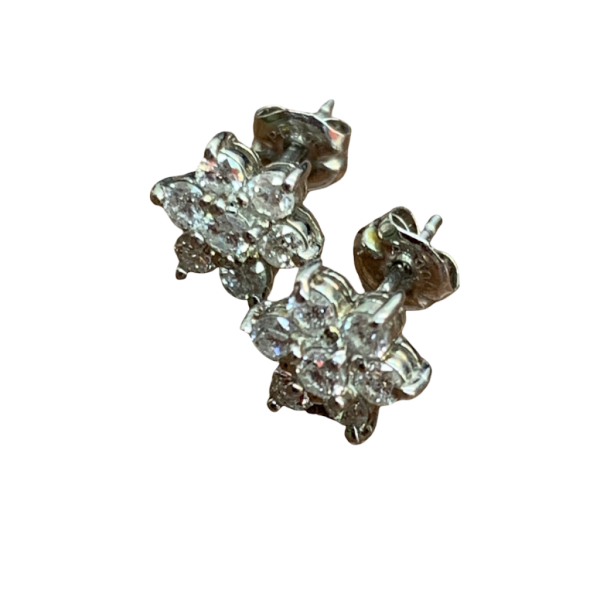 Pt900ピアス画像