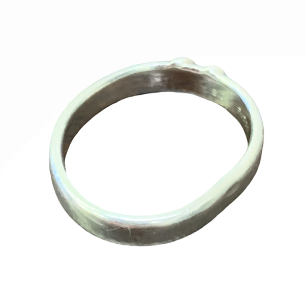 Pt900リング画像