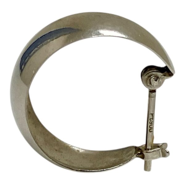 Pt900ピアス画像